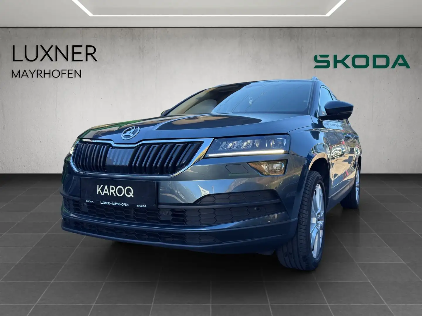 Skoda Karoq Style TDI DSG Grau - 1