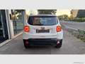Jeep Renegade 1.0 T3 Limited Bianco - thumbnail 6