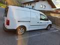 Volkswagen Caddy Caddy Maxi Tramper 1,6 TDI BMT Tramper Weiß - thumbnail 4