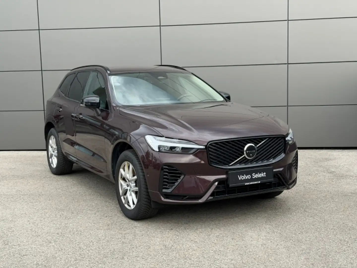 Volvo XC60 T6 AWD PHEV 18,8kWh Plus Dark Aut. Braun - 1