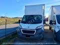 Peugeot Boxer CON SPONDA CARICATRICE Blanc - thumbnail 2