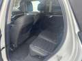 Volkswagen Touareg CR 3.0 TDI DSGm Elegance Blanc - thumbnail 7