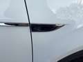 Volkswagen T-Roc 1.5TSI R-Line DSG Pano Navi LED AHK Kamera Weiß - thumbnail 17