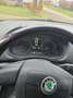 Skoda Fabia Fabia 1.2 TDI Greenline Grijs - thumbnail 6