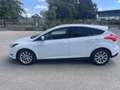 Ford Focus Focus 1.0 EcoBoost 125 S Blanc - thumbnail 2