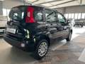 Fiat Panda 1.0 FireFly S&S Hybrid Icon NO VINCOLO FINANZIARIO Noir - thumbnail 4