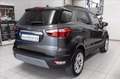 Ford EcoSport 1.0 ecoboost Titanium s&s 125cv my20.25 Grigio - thumbnail 2