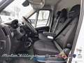 Fiat Ducato 3 79KWH MAXI 35 LH2 - Gris - thumbnail 9