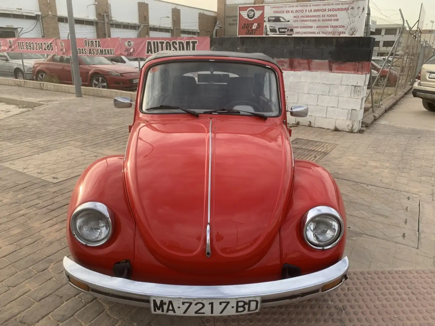 Volkswagen 1300 Cabriolet Burdeos - 2