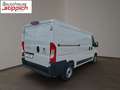 Fiat Ducato 140 L2H1 RS: 3450 mm netto € 24.900 Blanc - thumbnail 12