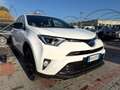 Toyota RAV 4 RAV4 2.5 Hybrid 4WD Lounge Bianco - thumbnail 8
