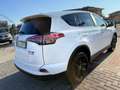 Toyota RAV 4 RAV4 2.5 Hybrid 4WD Lounge Bianco - thumbnail 7