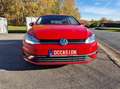 Volkswagen Golf Golf 1.0 TSI Rood - thumbnail 5