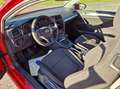 Volkswagen Golf Golf 1.0 TSI Rood - thumbnail 8