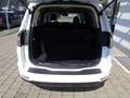 Ford Galaxy 2,0 EcoBlue SCR Titanium Aut. Blanc - thumbnail 4