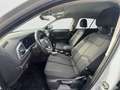 Volkswagen T-Roc Life 2.0 TDI AHK NAVI CARPLAY SHZ ACC Weiß - thumbnail 12