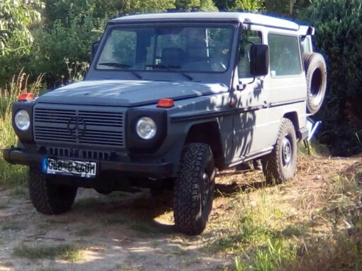 Mercedes-Benz G 290 GELAENDEF.GES-GFG(A) Grau - 1