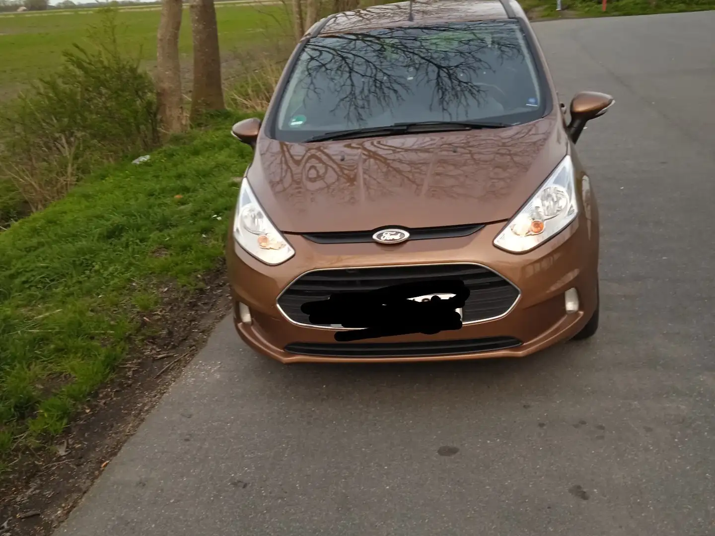 Ford B-Max 1.0 EcoBoost Trend Brown - 1