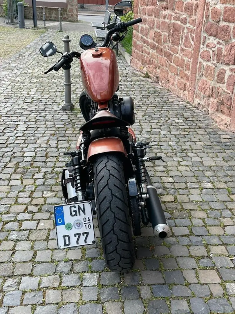 Harley-Davidson Iron 883 Brąz - 2