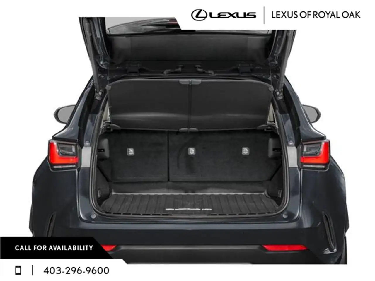 Lexus NX fotografie Lexus NX