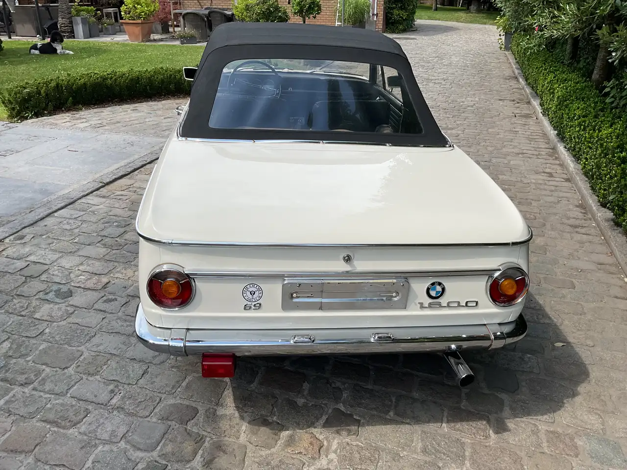 BMW 1600 Cabrio, foto 3