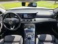 Mercedes-Benz E 220 E 220 d S.W. 4Matic Premium AMG All-Terrain 194 cv Bianco - thumbnail 15