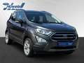 Ford EcoSport Titanium 1.0 EcoBoost Navi Soundsystem B&O Ganzjah Gris - thumbnail 5