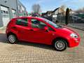 Fiat Punto 1.2 MYSTYLE *INSP&HU NEU/KLIMA/PDC/5-TÜRIG Rouge - thumbnail 5
