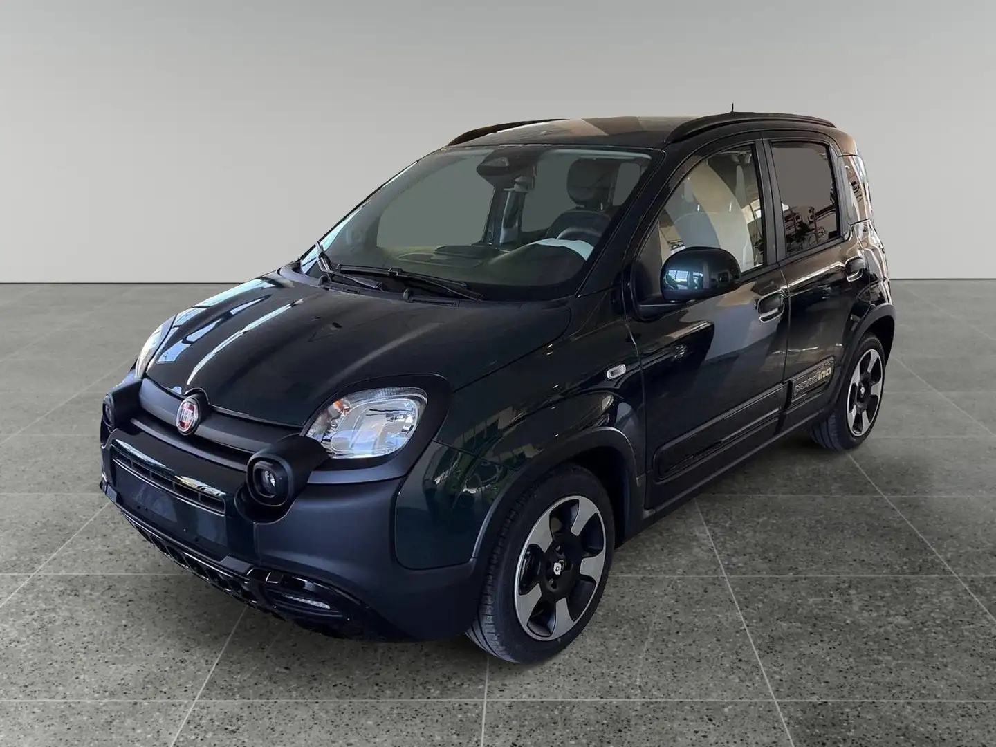 Fiat Panda 1.0 firefly Pandina 70 cv Vert - 1