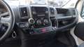 Fiat DUCATO CASSONE FISSO Weiß - thumbnail 9