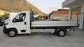 Fiat DUCATO CASSONE FISSO Weiß - thumbnail 4