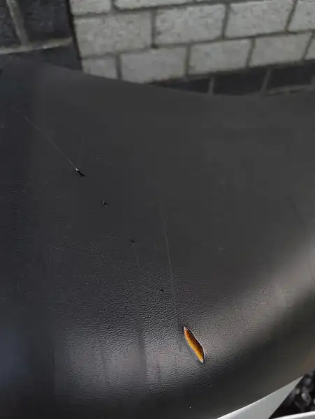 Honda CBF 600 - foto 5