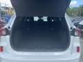 Ford Kuga 2.5 Duratec PHEV ST-Line X ACC+LED+Navi+SHZ Bianco - thumbnail 7