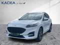 Ford Kuga 2.5 Duratec PHEV ST-Line X ACC+LED+Navi+SHZ Bianco - thumbnail 2
