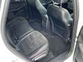 Ford Kuga 2.5 Duratec PHEV ST-Line X ACC+LED+Navi+SHZ Bianco - thumbnail 11