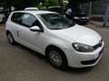 Volkswagen Golf IV1.2 TSI Trendline, Klima, 1.Hand Weiß - thumbnail 2