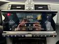 DS Automobiles DS 7 Crossback Grau - thumbnail 22