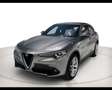 Alfa Romeo Stelvio 2.2 TurboDiesel 210cv Executive Q4 Argento - thumbnail 1