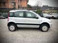Fiat Panda 4X4 1.2 69cv-UNIPROPRIETARIO Argent - thumbnail 5