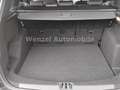 Ford Kuga ST-Line 1.5 Turbo *ALLRAD*SH*ASSIST* Gris - thumbnail 9