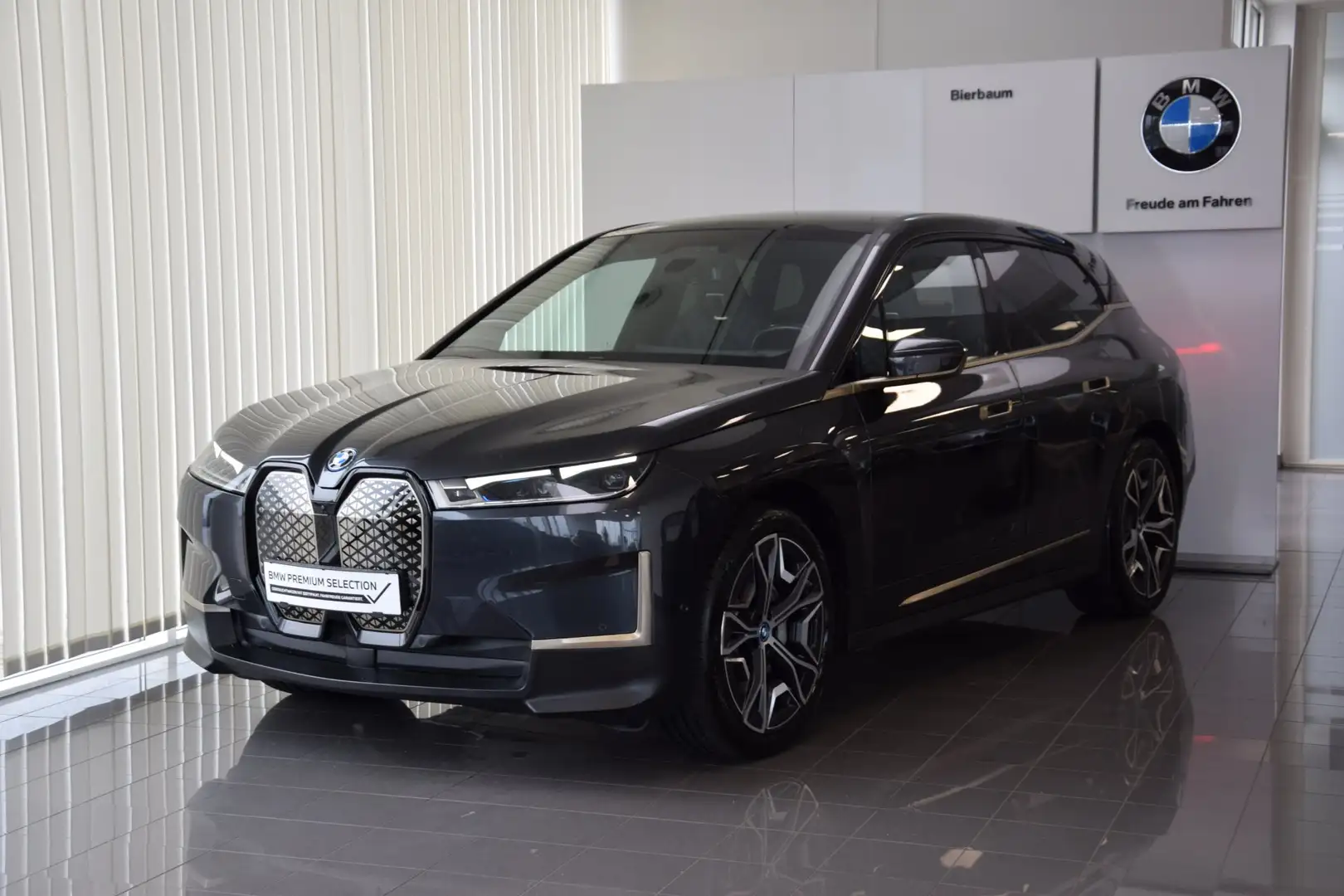 BMW iX iX xDrive40 Сірий - 1