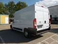 Opel Movano C L2H2 3,5T Blanc - thumbnail 4
