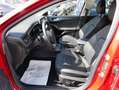 Ford Focus Active X  Vollleder LED ACC TWA Rojo - thumbnail 11