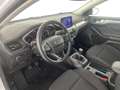Ford Focus Traveller 1,0 EcoBoost Titanium Weiß - thumbnail 8