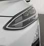 Ford Focus Traveller 1,0 EcoBoost Titanium Weiß - thumbnail 31