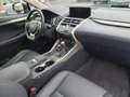 Lexus NX 300 300h Executive Line Albastru - thumbnail 13