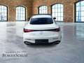 Mercedes-Benz CLE 300 e mit EQ  AMG/PANO/DIST./360/DIGI./ Blanco - thumbnail 6