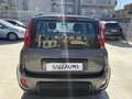 Fiat Panda 1.0 firefly hybrid City Life s&s 70cv Gris - thumbnail 4