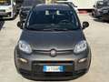 Fiat Panda 1.0 firefly hybrid City Life s&s 70cv Gris - thumbnail 1
