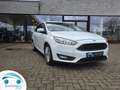 Ford Focus FORD FOCUS CLIPPER 1.5 TDCI BUSINESS CLASS Wit - thumbnail 16